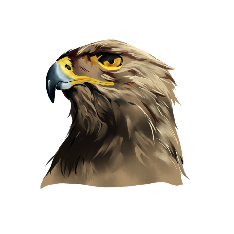 Eagle head PNG free Download PNG