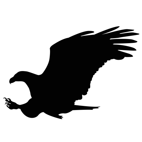 Black silhouette of a eagle PNG free Download