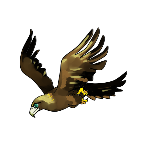 Eagle eagle eagle design animal PNG Free Download
