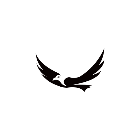 Eagle bird icon illustration PNG free Download