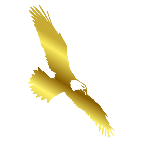Flying golden eagle silhouette PNG Free Download
