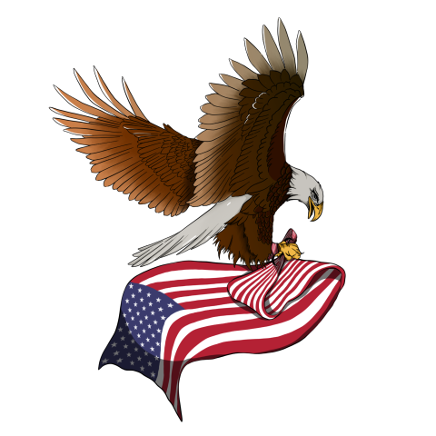 American eagle with flag PNG Free Download