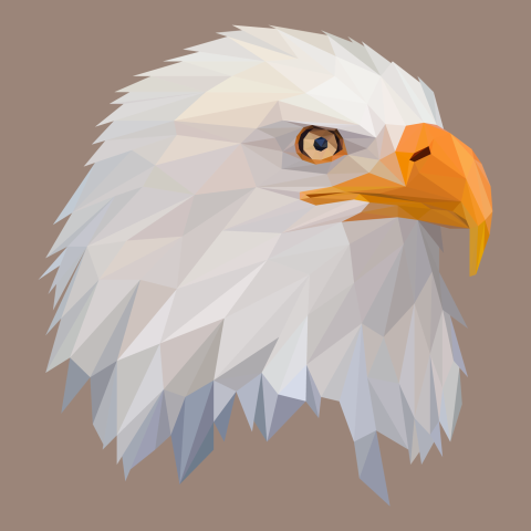 American eagle head in lowpoly PNG Free Download