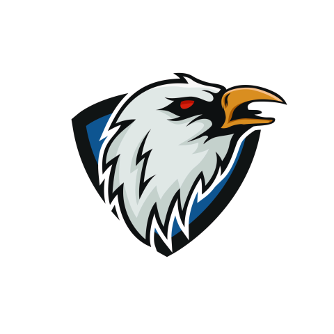 Eagle vector logo mascot animal PNG Free Download