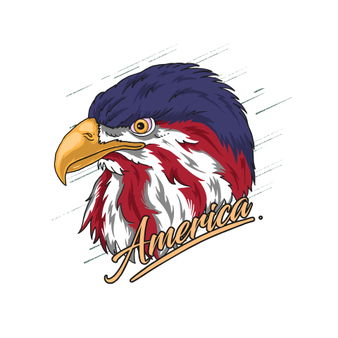 Eagle head america illustration vector PNG free Download
