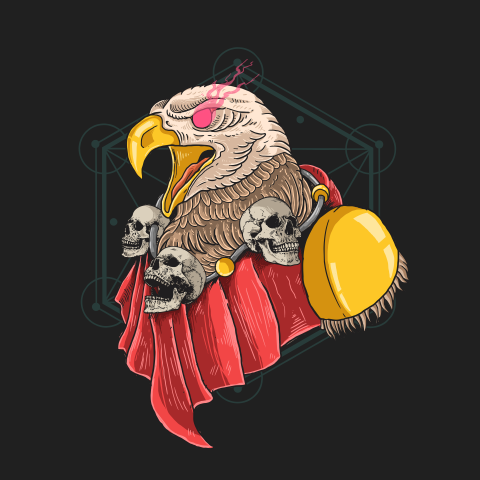 Guardian eagle angry head heroes PNG Free Download