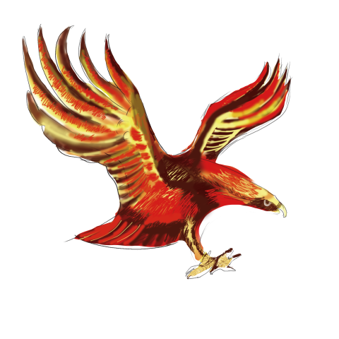 Eagle flying wings simulation sky PNG Free Download