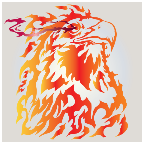 Fire eagle with bright eyes PNG free Download