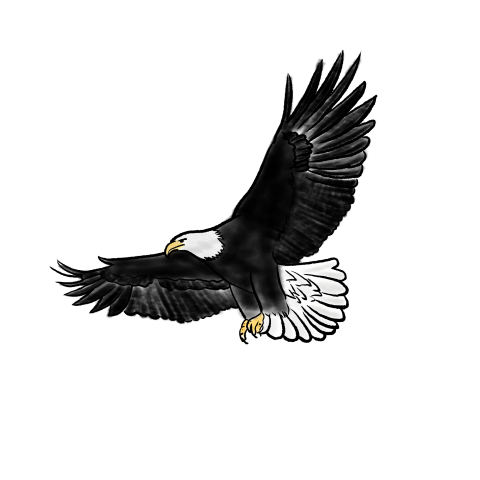 Ink eagle flying illustration PNG Free Download
