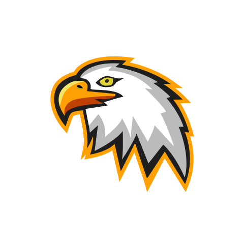 Furious eagle head esport logo PNG free Download