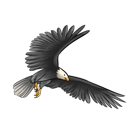 Soaring eagle cartoon illustration PNG free Download