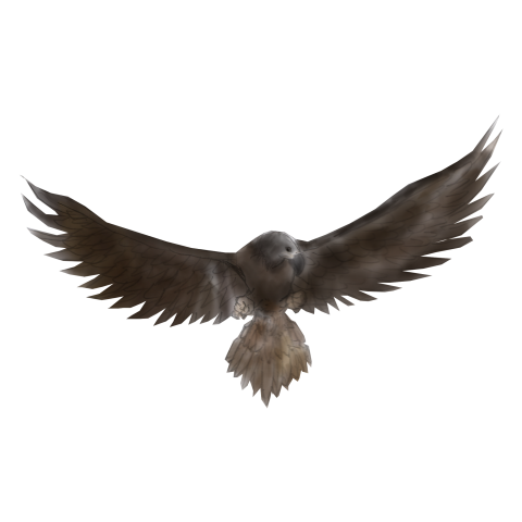 An eagle PNG Free Download