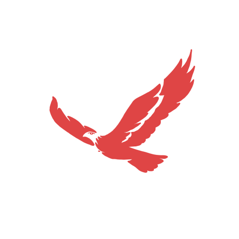 Red eagle vector picture PNG Free Download