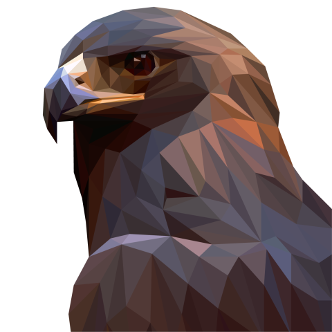 Black bald eagle in polygonal PNG Free Download