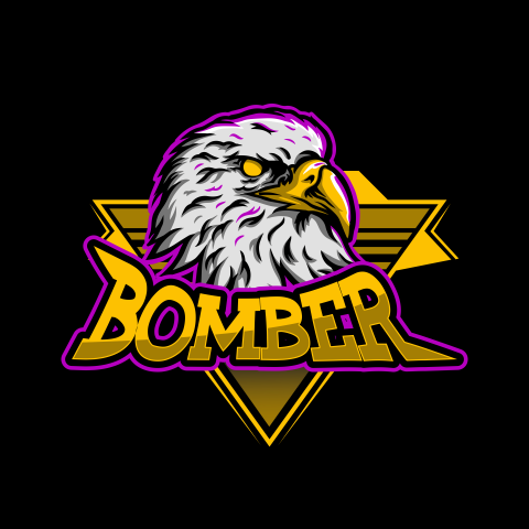 Eagle head esport gaming mascot Free Download PNG