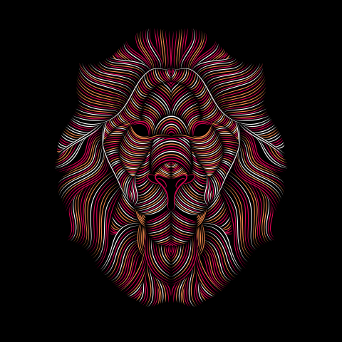 Lion face illustration for t PNG Free Download