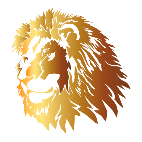 Lion head abstract hand drawing PNG Free Download