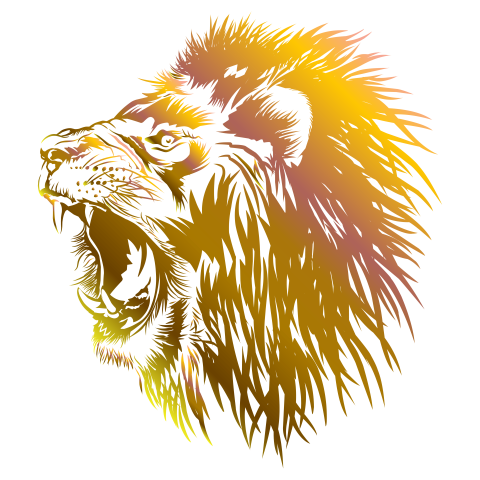 Lion head roars PNG Free Download