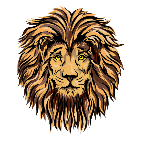Lion head vector hand drawing PNG Free Download