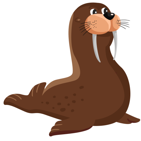 Hand drawn cartoon sea lion PNG Free Download