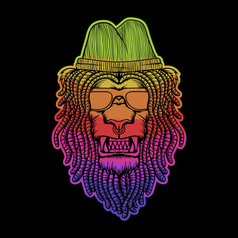 Lion dreadlocks colorful vector illustration PNG Free Download