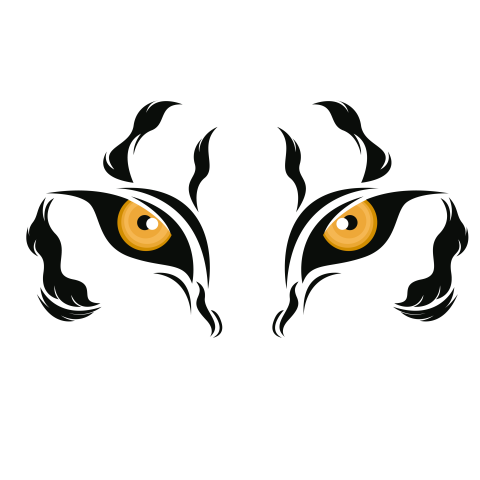 Lion face illustration for t PNG free Download
