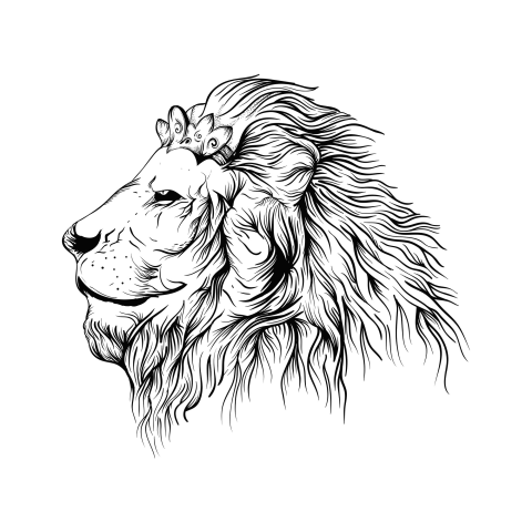 Lion queen vector design PNG Free Download