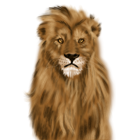 Lovely lion hand painted illustration PNG Free Download