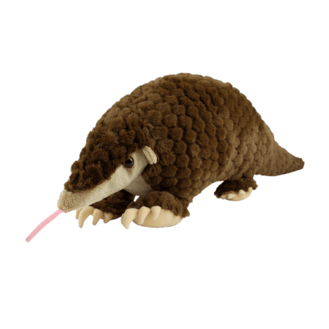 Transparent Pangolin PNG Forrest Animal Image