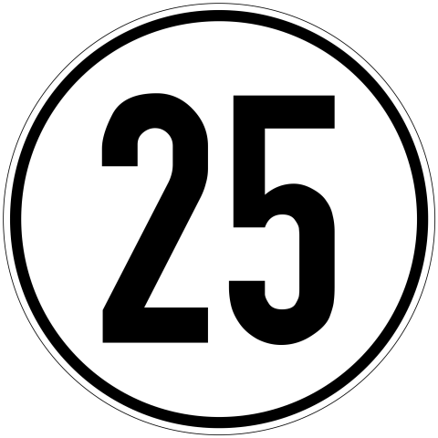 Circle 25 PNG Icon Free Download