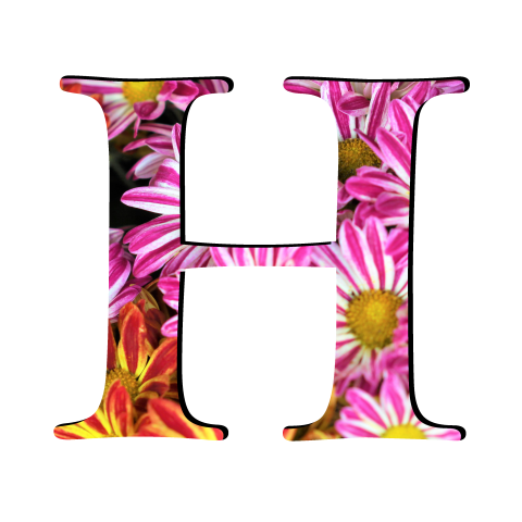 Pink Floral H Letter PNG Image Free Transparent Background