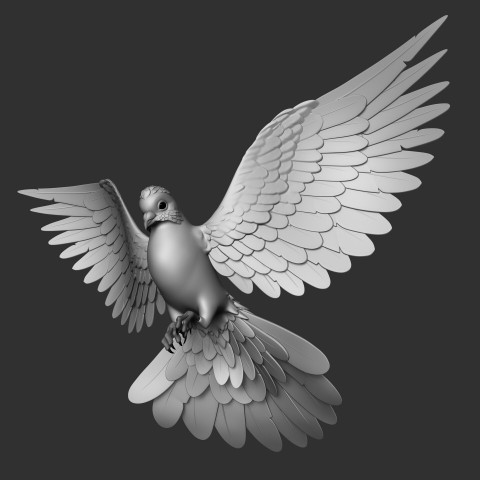 Grey Flying Bird Art Png image free Download