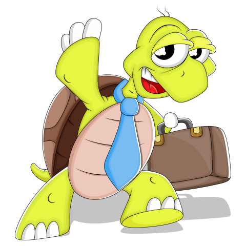Cute Cartoon Turtle Image , Vector & illustration Business Turtle Character , Transparent PNG Free Download