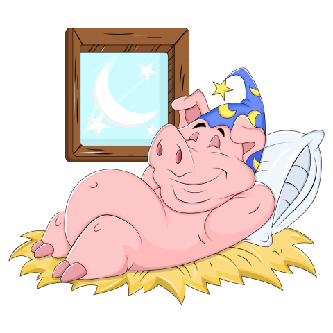 Cute Sleeping Pig Vector Art ,Icon And Graphic Pig Images For Illustrations Image PNG Download , Transparent Background