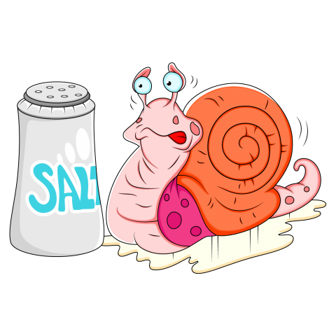 Cute Cartoon Snail , Illustrations Snail with Salt Image with Transparent Background Download Free