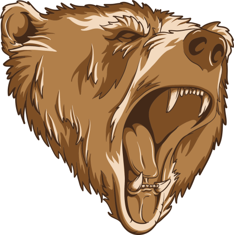 HD Bear PNG Logo Transparent Free Download