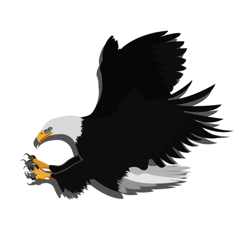 A bald eagle PNG Free Download