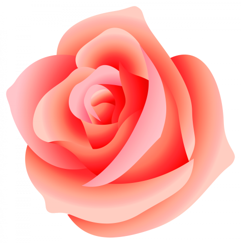 Large Rose PNG Picture rose graphics png free