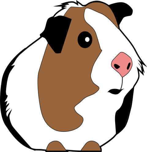 Vector Clipart Guinea Pig PNG Drawing Image