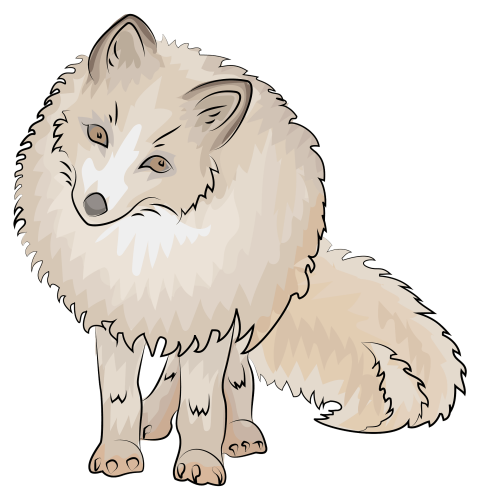 Arctic Fox PNG Free Download Transparent Background