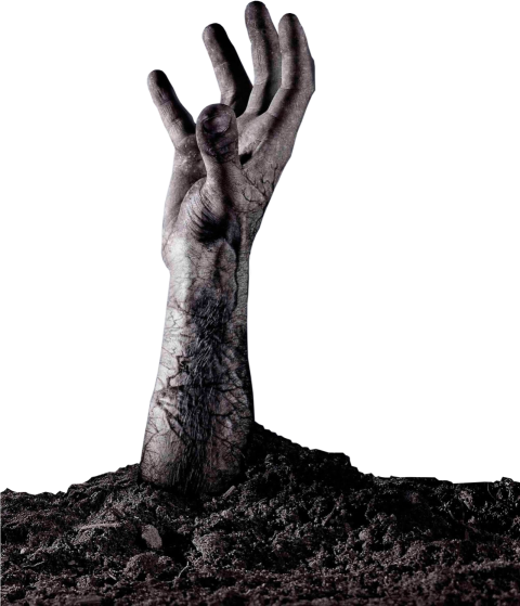 Plant Vs Zombie Hand PNG Image Free Download