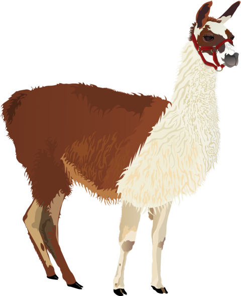 HD Cute Llama PNG Transparent Free Image