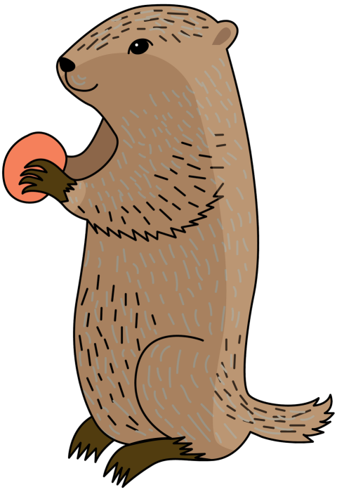 Groundhog Alpine Marmot Rodent Graphy Beaver Mammal Brown PNG Image