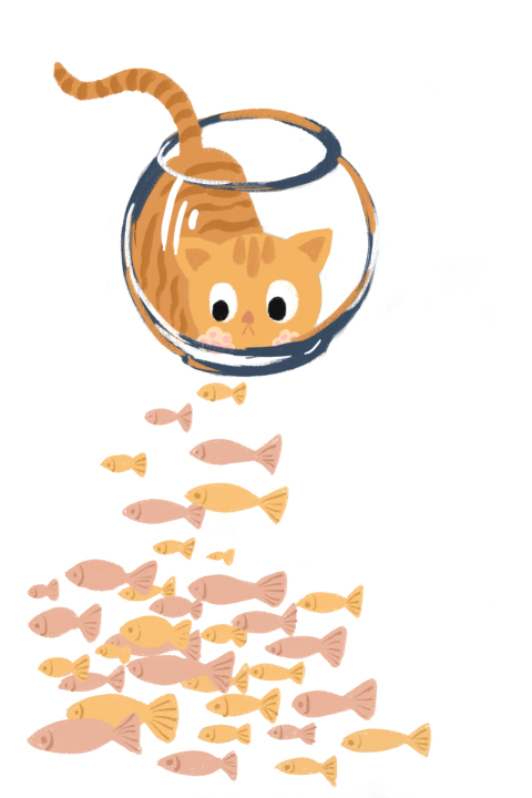 Cat orange cat fish tank PNG download