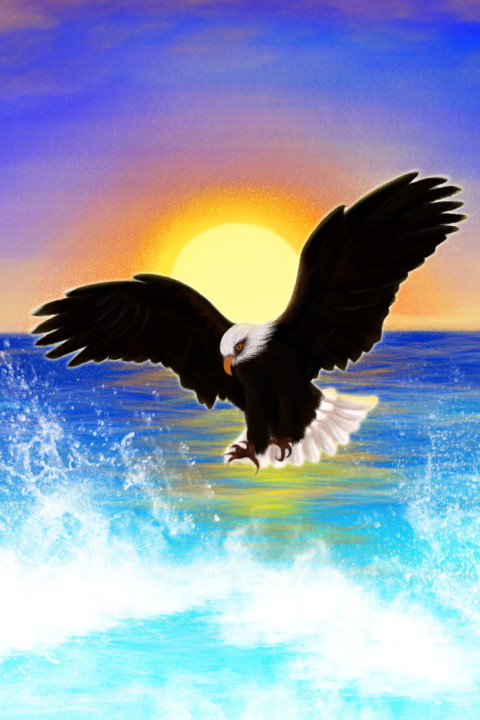 Hand painted illustration sea eagle PNG Free Download