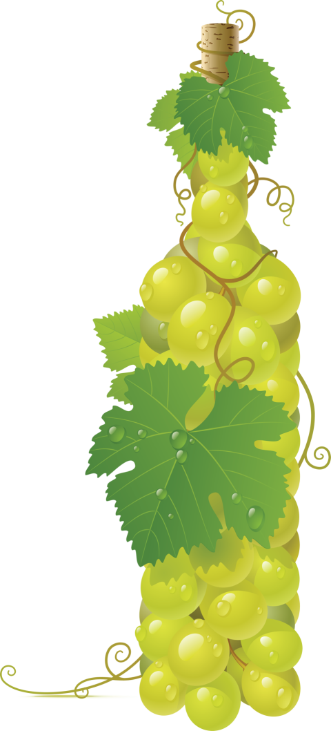 Organic Green Grapes with Botel Shapes HQ Vector ISO PNG Photo Free Download