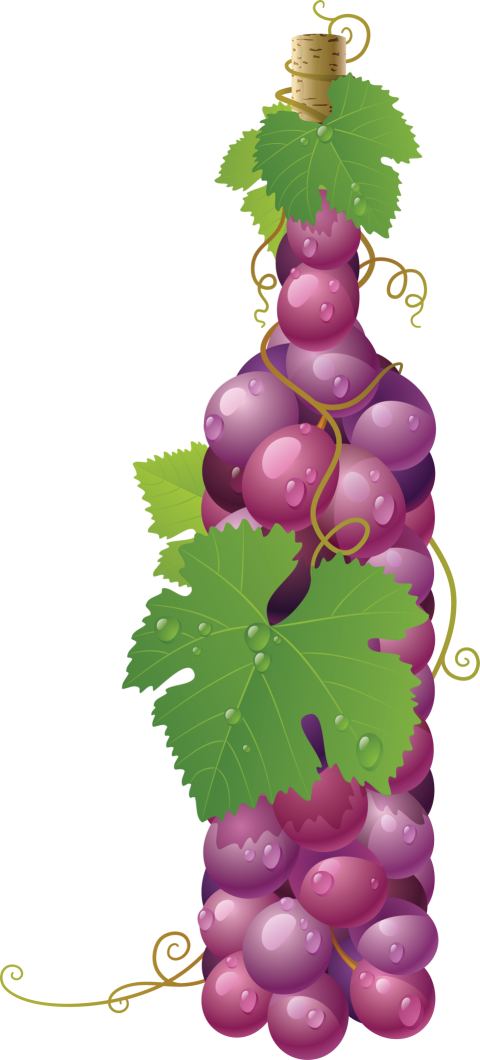 HQ Vector Clipart Grapes with Leaves PNG Image Free Download