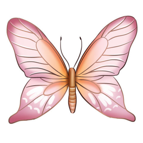 Beautiful pink butterfly illustration PNG Free Download
