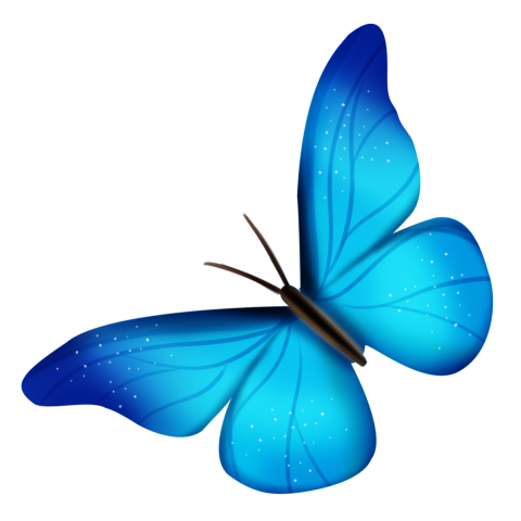 Blue beautiful butterfly illustration PNG Free Download