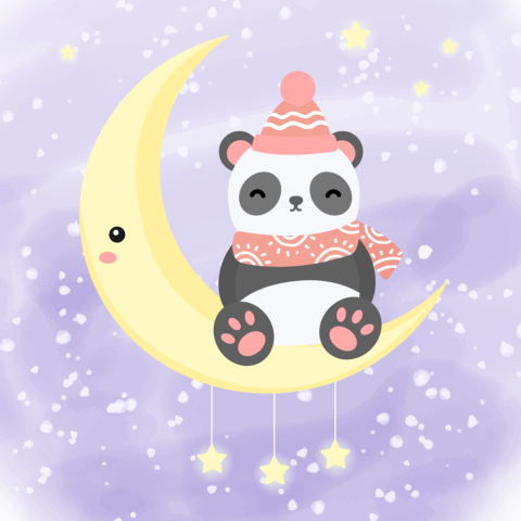 Adorable panda in the night PNG Free Download